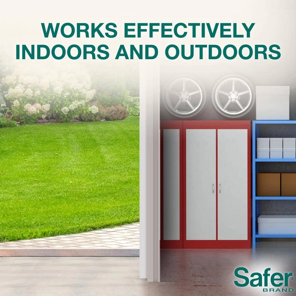 4 lb. Diatomaceous Earth - Bed Bug, Flea, Ant, Crawling Insect Killer for Indoor and Outdoor by Safer Brand 6 4 lb. Diatomaceous Earth - Bed Bug, Flea, Ant, Crawling Insect Killer for Indoor and Outdoor by Safer Brand - Image 4