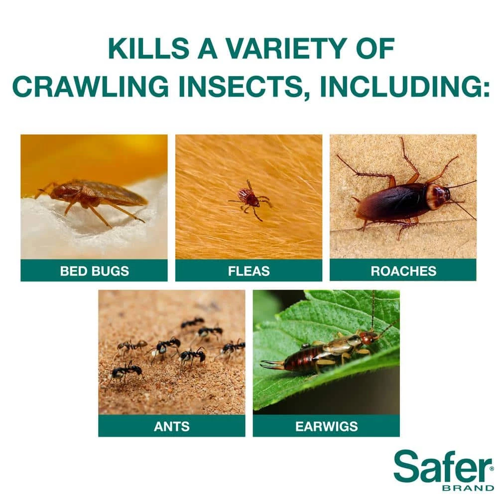 4 lb. Diatomaceous Earth - Bed Bug, Flea, Ant, Crawling Insect Killer for Indoor and Outdoor by Safer Brand 4 4 lb. Diatomaceous Earth - Bed Bug, Flea, Ant, Crawling Insect Killer for Indoor and Outdoor by Safer Brand - Image 2