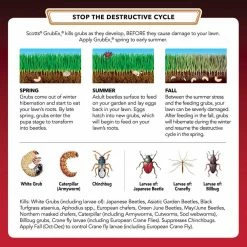 GrubEx1 28.7 lbs. 10,000 sq. ft. Season Long Grub, Caterpillar, Japanese Beetle Killer by Scotts -Pest Control Sales scotts insect killer granules 99610 44 1000