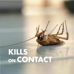 Bug Stop Home Barrier 0.5 gal with Flip & Go Sprayer by Spectracide -Pest Control Sales spectracide bug killer spray hg 96921 31 1000