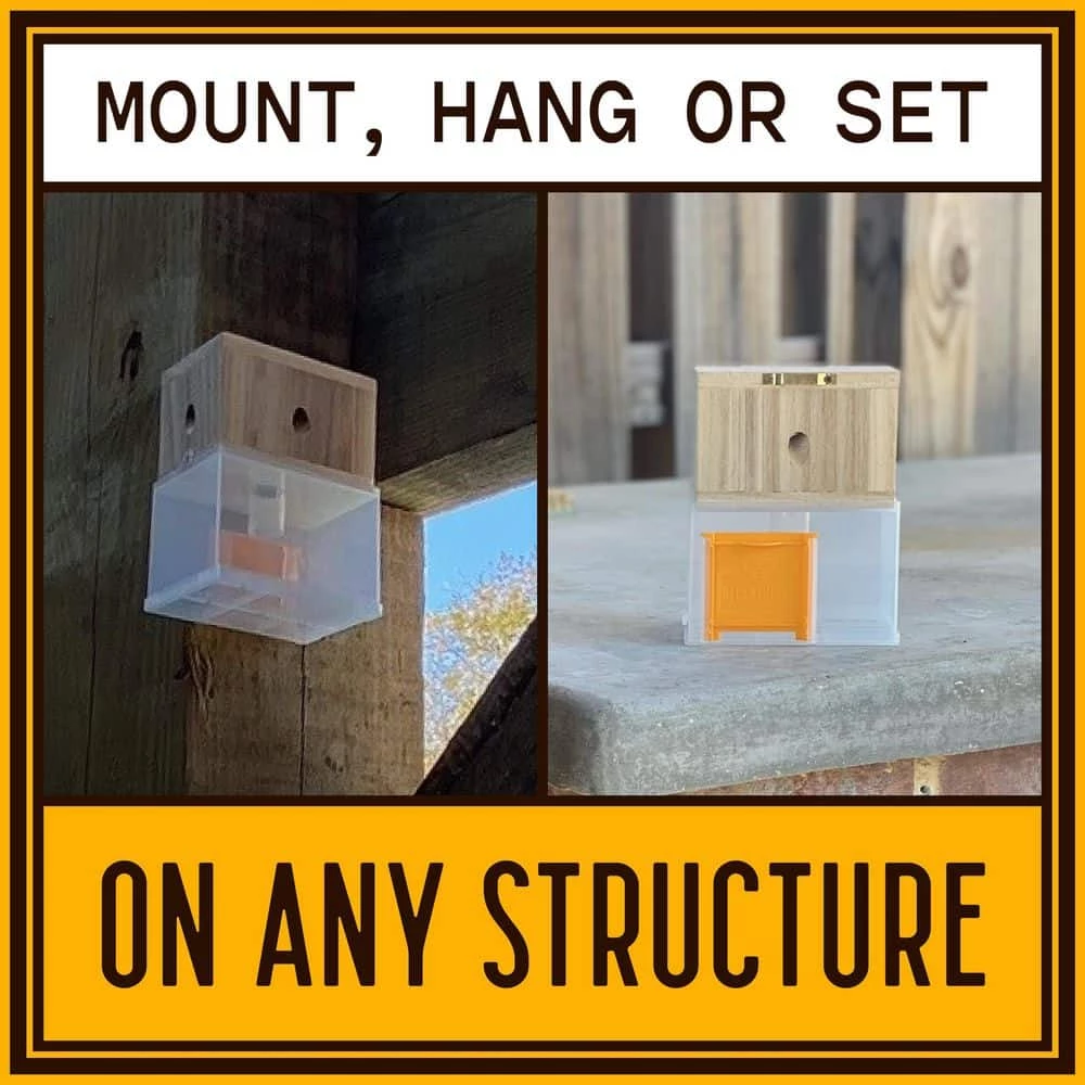 Hanging Carpenter Bee Trap by Bees N Things 7 Hanging Carpenter Bee Trap by Bees N Things - Image 5