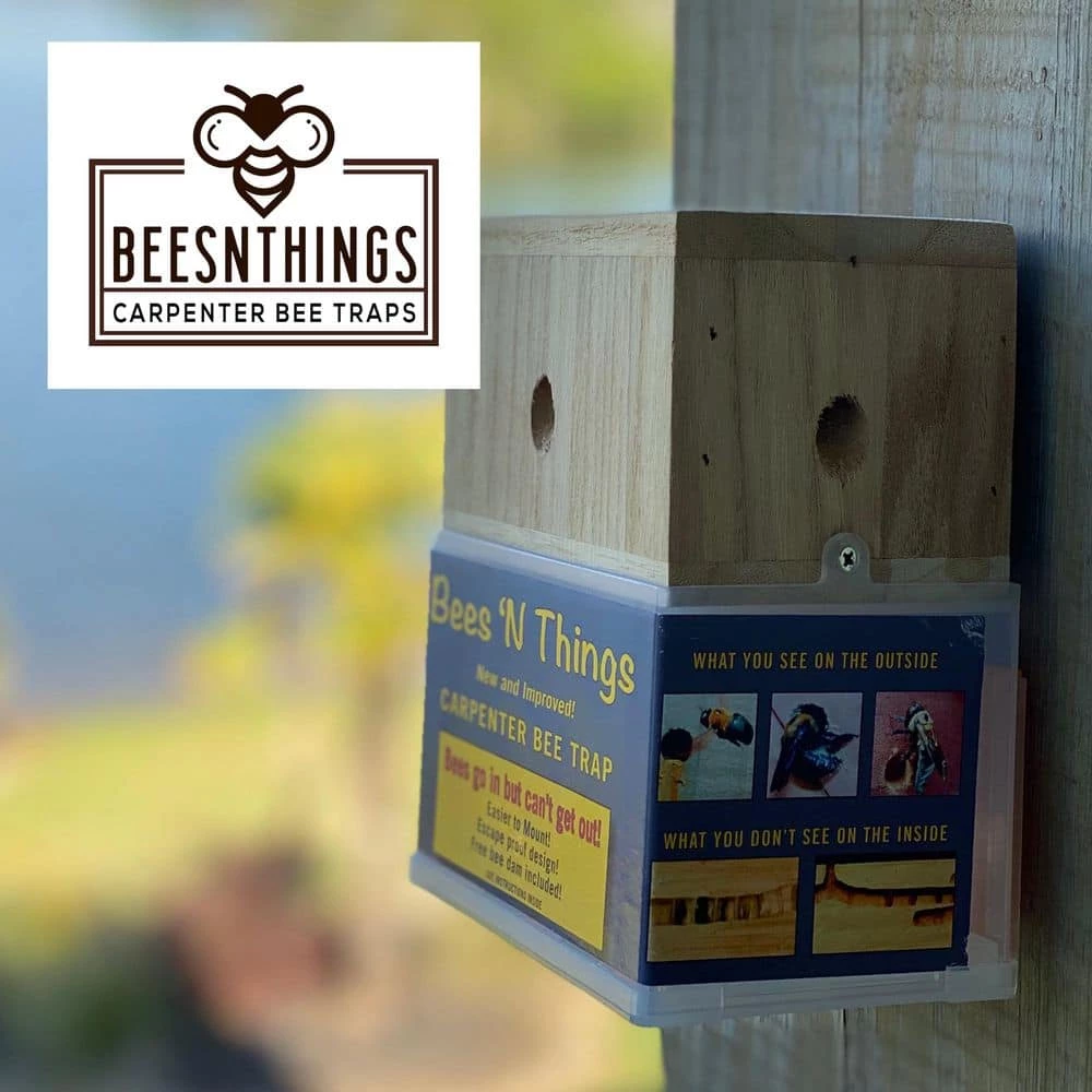 Hanging Carpenter Bee Trap by Bees N Things 17 Hanging Carpenter Bee Trap by Bees N Things - Image 15