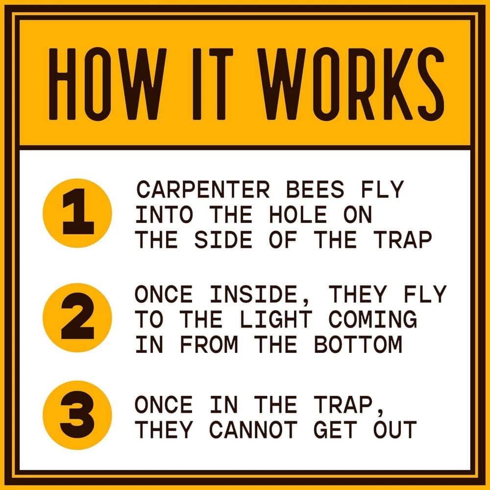 Hanging Carpenter Bee Trap by Bees N Things 5 Hanging Carpenter Bee Trap by Bees N Things - Image 3