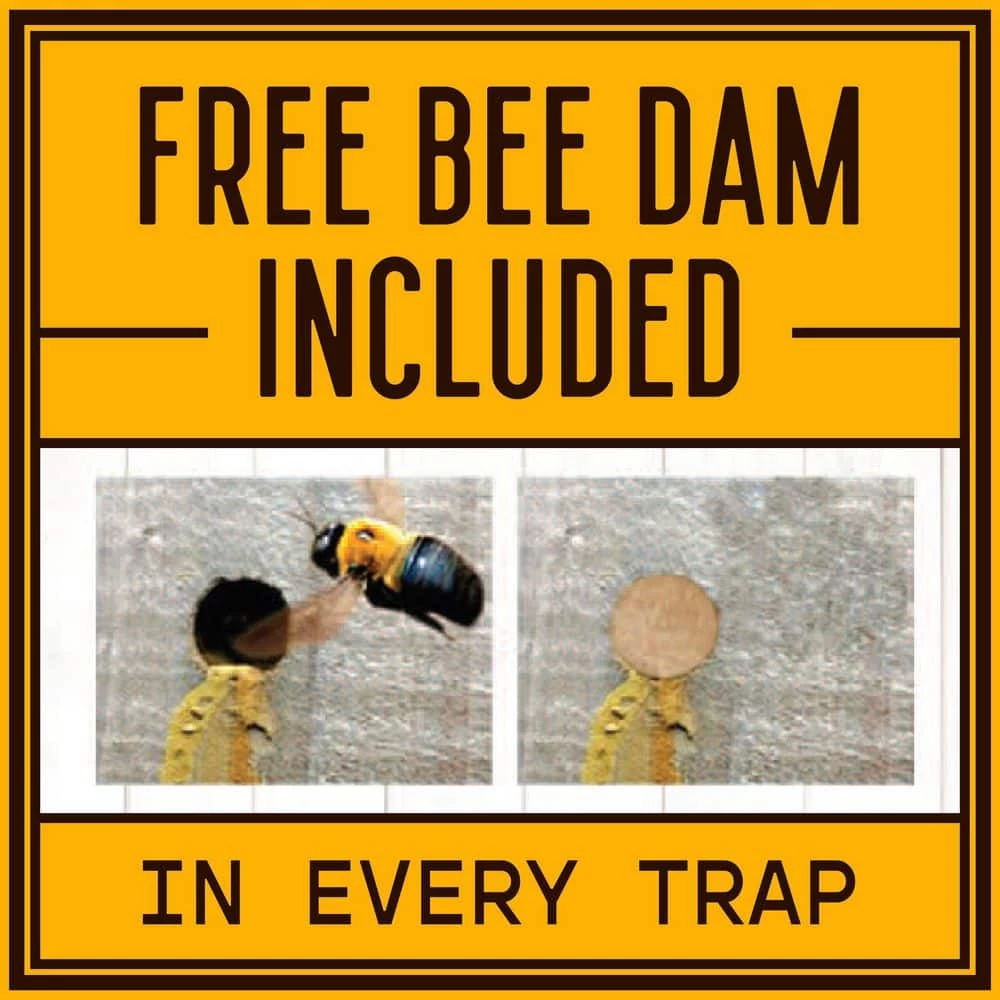 Hanging Carpenter Bee Trap by Bees N Things 11 Hanging Carpenter Bee Trap by Bees N Things - Image 9