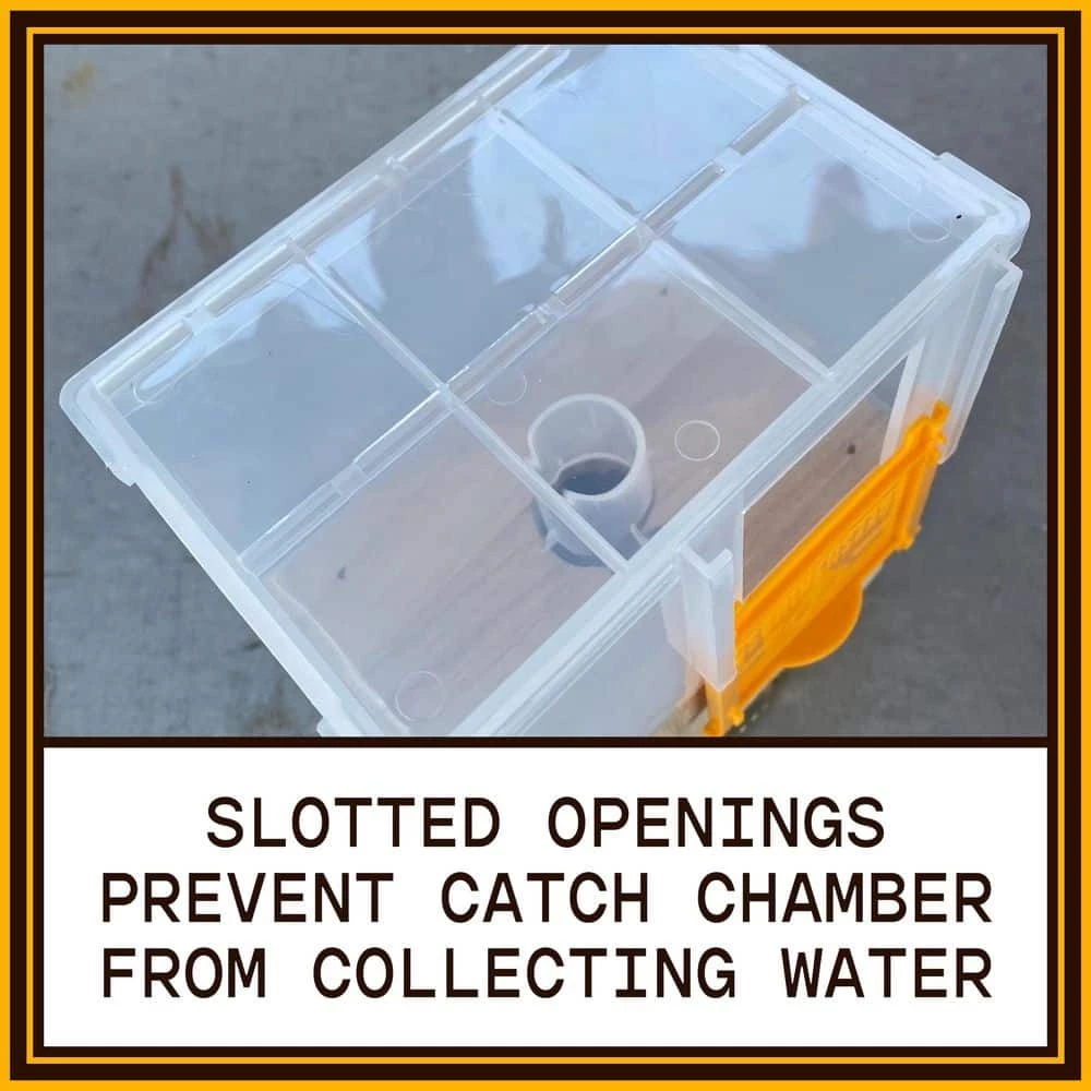 Hanging Carpenter Bee Trap by Bees N Things 15 Hanging Carpenter Bee Trap by Bees N Things - Image 13