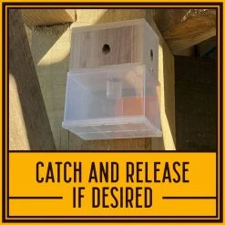 Hanging Carpenter Bee Trap by Bees N Things 20 Hanging Carpenter Bee Trap by Bees N Things -Pest Control Sales tan bees n things insect traps 100537614 a0 1000