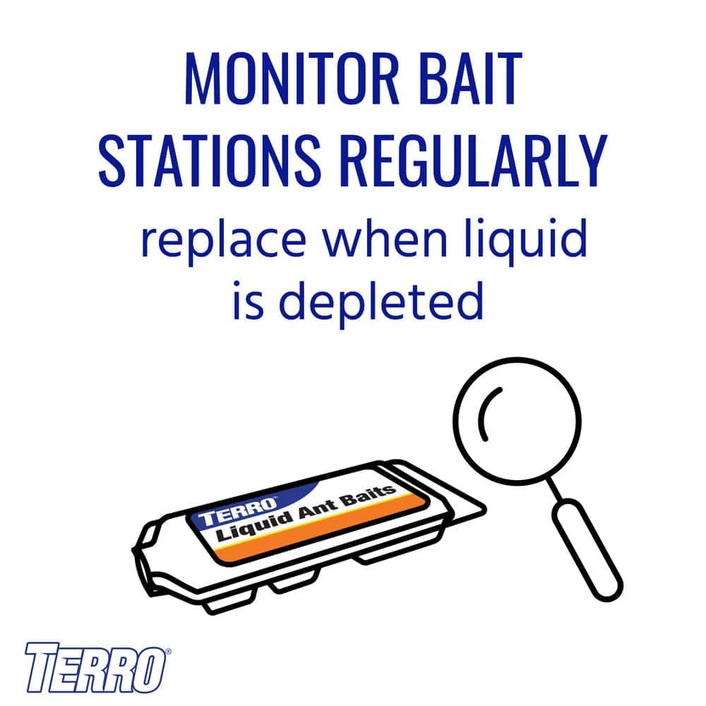 Indoor Liquid Ant Killer Baits (6-Pack) by TERRO 10 Indoor Liquid Ant Killer Baits (6-Pack) by TERRO - Image 8