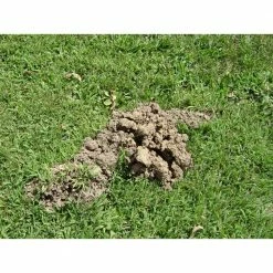 6 oz. Mole and Gopher Bait by TOMCAT -Pest Control Sales tomcat bait stations 037221005 c3 1000