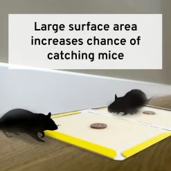 Hold-Fast Disposable Mouse and Insect Glue Board Traps (4-Pack) by Victor -Pest Control Sales victor animal traps m182 66 1000