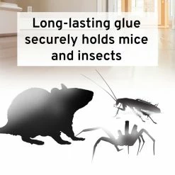 Mouse and Insect Glue Trap for Tin Cat (72-Pack) by Victor 18 Mouse and Insect Glue Trap for Tin Cat (72-Pack) by Victor -Pest Control Sales victor animal traps m309 44 1000