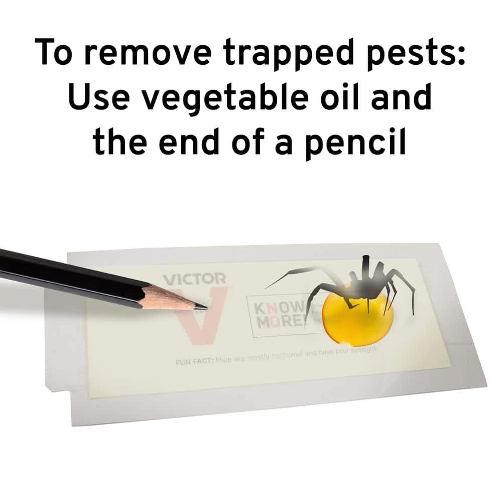 Mouse and Insect Glue Trap for Tin Cat (72-Pack) by Victor 12 Mouse and Insect Glue Trap for Tin Cat (72-Pack) by Victor - Image 10