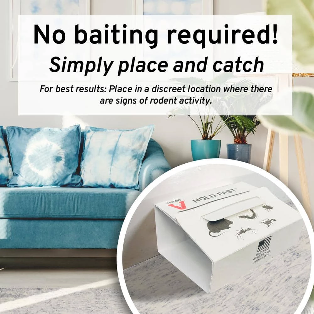 Mouse and Insect Glue Trap for Tin Cat (72-Pack) by Victor 10 Mouse and Insect Glue Trap for Tin Cat (72-Pack) by Victor - Image 8