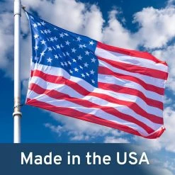 Professional Expanded Trigger Rat Trap (12-Pack) by Victor -Pest Control Sales victor animal traps m326 4f 1000