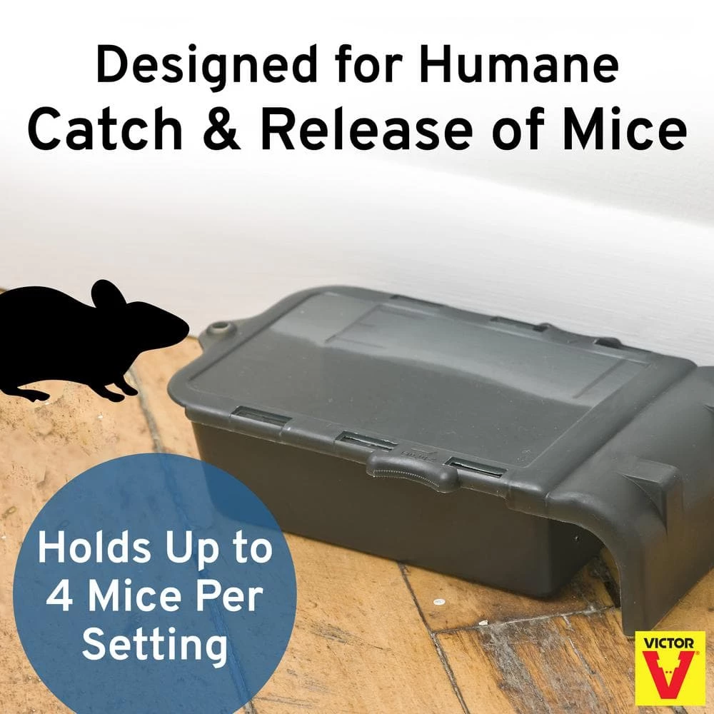 Catch and Hold No-Touch Humane Outdoor and Indoor Mouse Trap by Victor 11 Catch and Hold No-Touch Humane Outdoor and Indoor Mouse Trap by Victor - Image 9