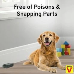 Catch and Hold No-Touch Humane Outdoor and Indoor Mouse Trap by Victor 28 Catch and Hold No-Touch Humane Outdoor and Indoor Mouse Trap by Victor -Pest Control Sales victor animal traps m333 76 1000