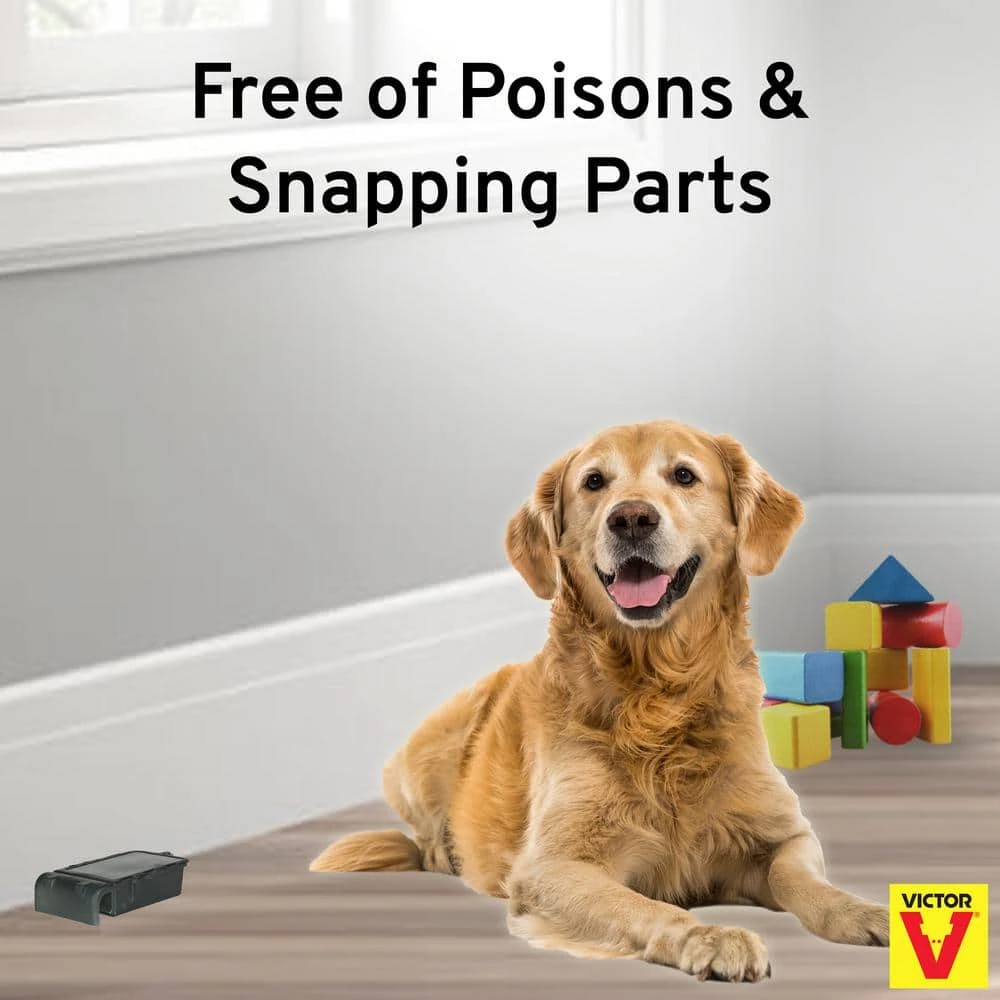 Catch and Hold No-Touch Humane Outdoor and Indoor Mouse Trap by Victor 15 Catch and Hold No-Touch Humane Outdoor and Indoor Mouse Trap by Victor - Image 13