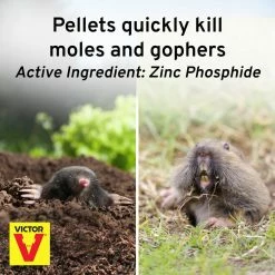 6 oz. Mole and Gopher Poison Peanuts by Victor -Pest Control Sales victor bait stations m6006 1f 1000