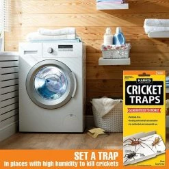 Cricket Trap Value Pack (10-Pack) by Harris -Pest Control Sales white harris insect traps ctrpvp 44 1000