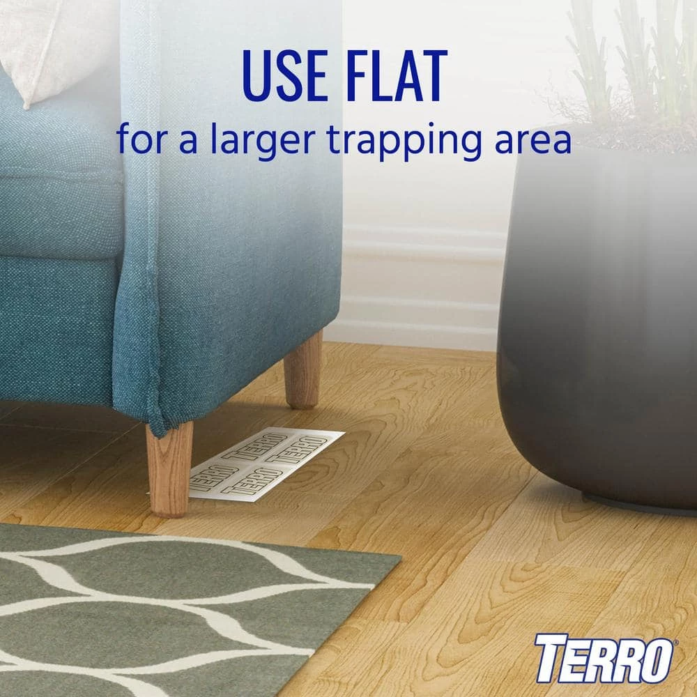 Non-Toxic Spider and Insect Trap (4-Count) by TERRO 4 Non-Toxic Spider and Insect Trap (4-Count) by TERRO - Image 2