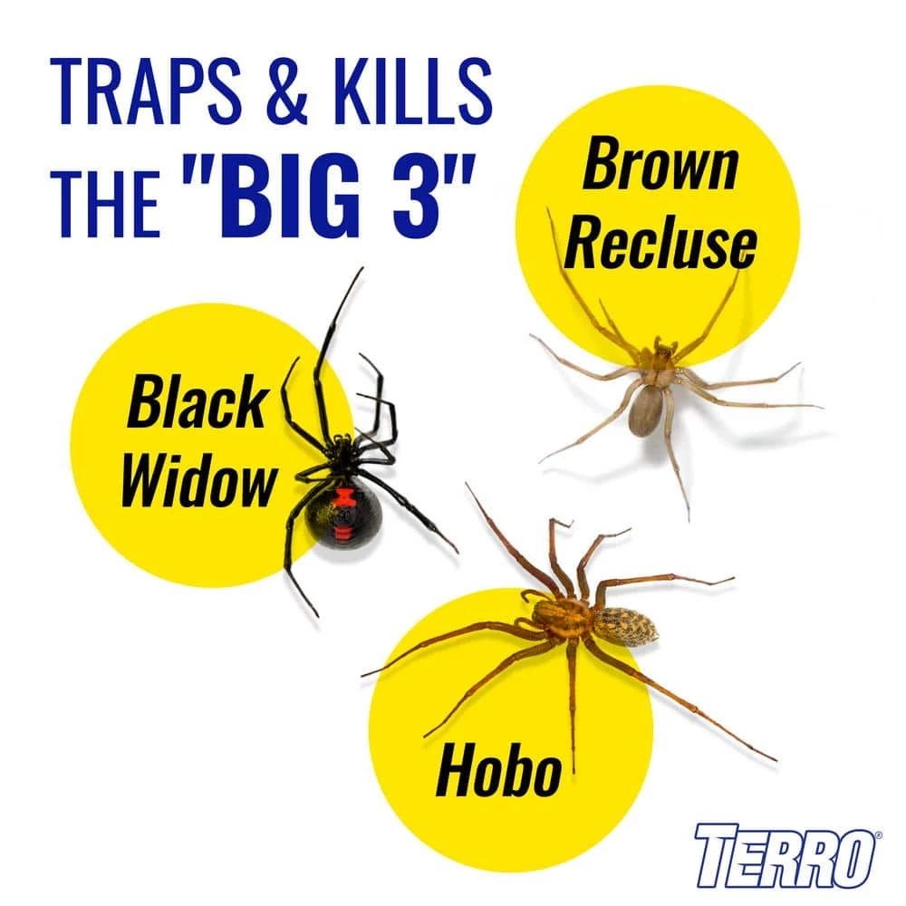 Non-Toxic Spider and Insect Trap (4-Count) by TERRO 8 Non-Toxic Spider and Insect Trap (4-Count) by TERRO - Image 6
