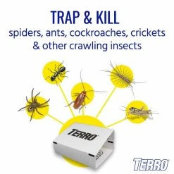Non-Toxic Spider and Insect Trap (4-Count) by TERRO 16 Non-Toxic Spider and Insect Trap (4-Count) by TERRO -Pest Control Sales white terro insect traps t3206 4f 1000