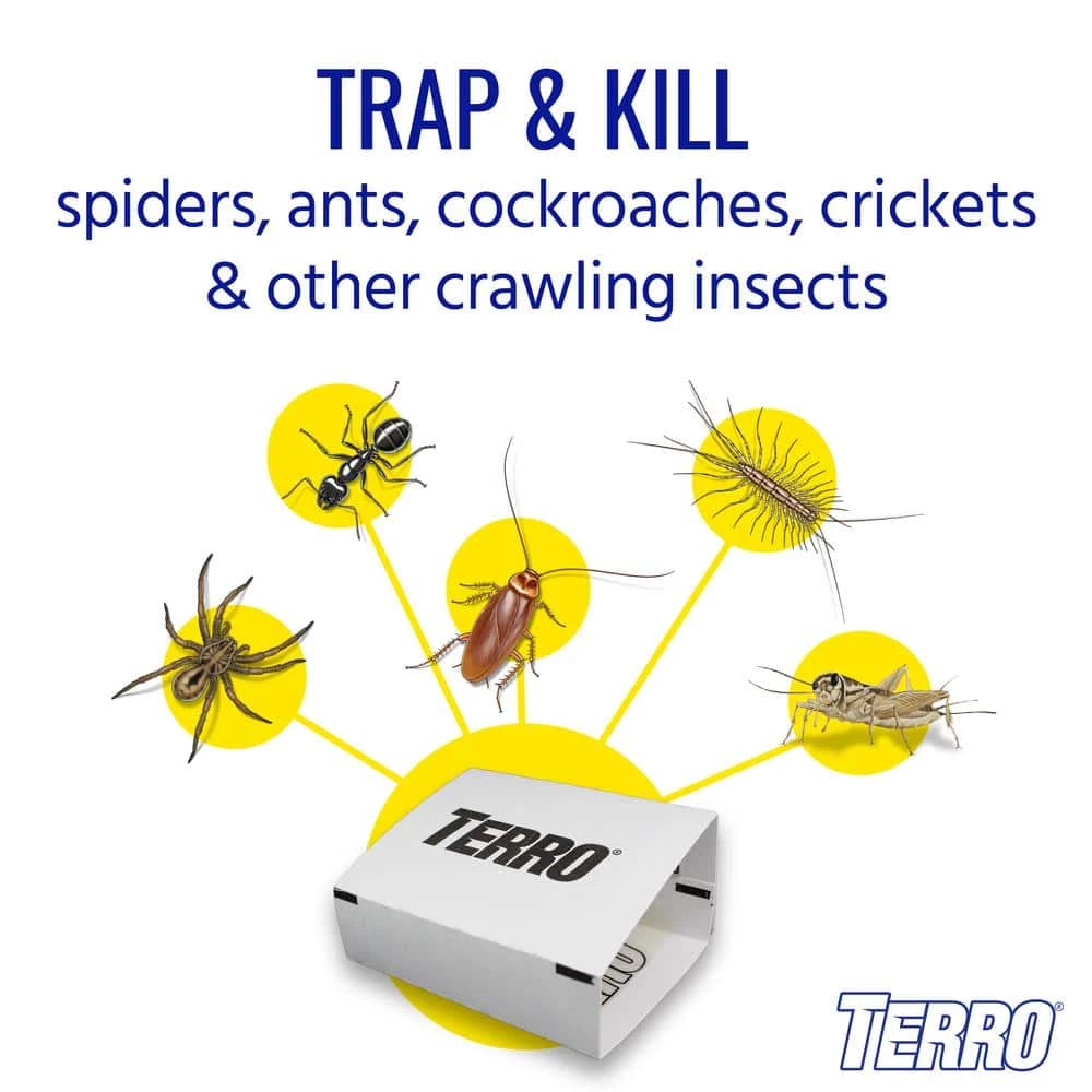 Non-Toxic Spider and Insect Trap (4-Count) by TERRO 7 Non-Toxic Spider and Insect Trap (4-Count) by TERRO - Image 5