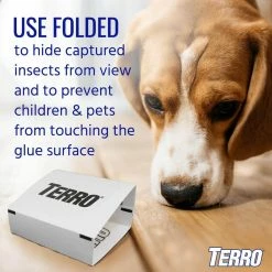 Non-Toxic Spider and Insect Trap (4-Count) by TERRO 14 Non-Toxic Spider and Insect Trap (4-Count) by TERRO -Pest Control Sales white terro insect traps t3206 66 1000
