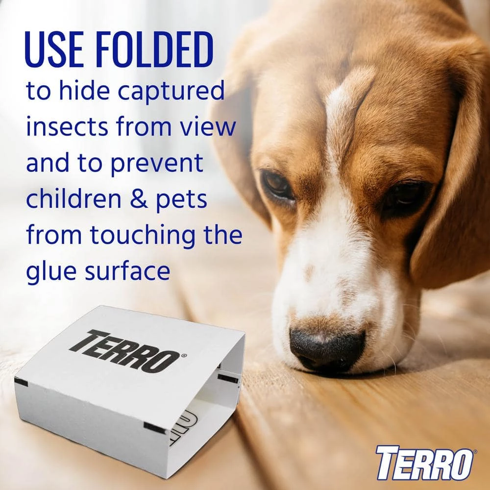 Non-Toxic Spider and Insect Trap (4-Count) by TERRO 5 Non-Toxic Spider and Insect Trap (4-Count) by TERRO - Image 3