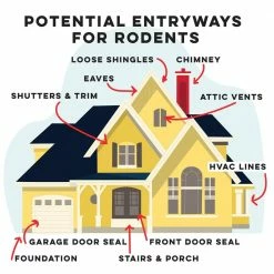 Rodent Control Fill Fabric, Large DIY Kit with Inspection and Fit Tool; Stainless Steel Blend by Xcluder -Pest Control Sales xcluder animal barriers 162758fit 66 1000